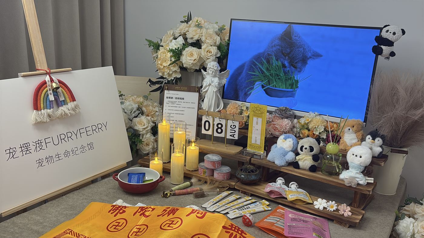 衢州宠物告别厅布置：如何给南孔圣地家属一个体面的告别