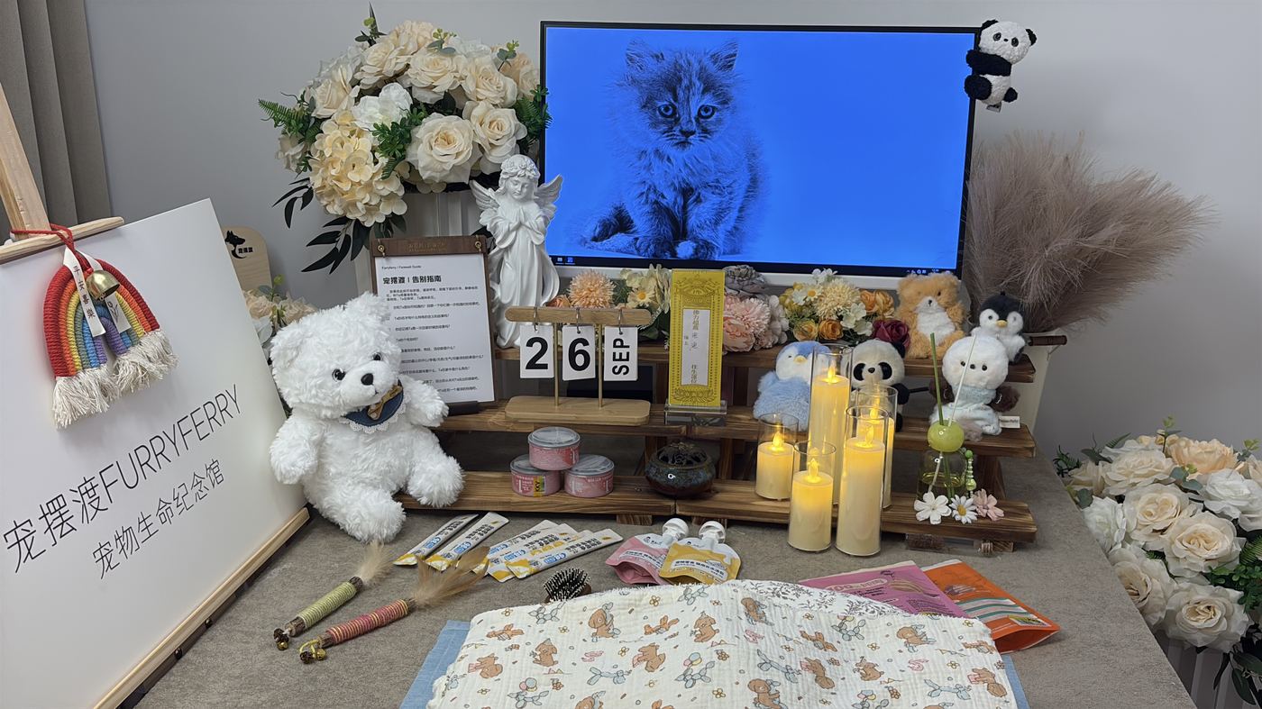 节日期间宠物殡葬服务安排：衢州春节与清明假期指南